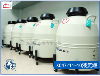 美國(guó)MVE液氮罐XC47/11-10